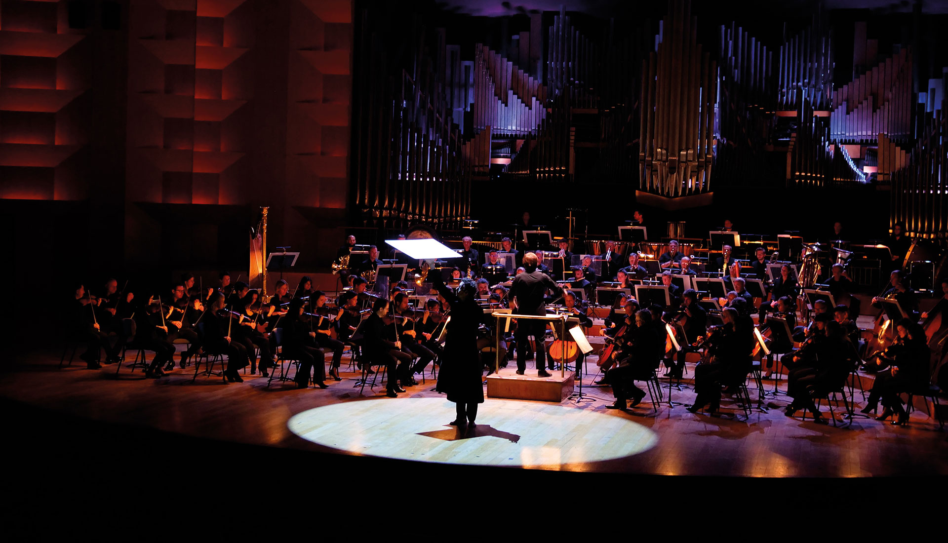 l'orchestre ensorcelée