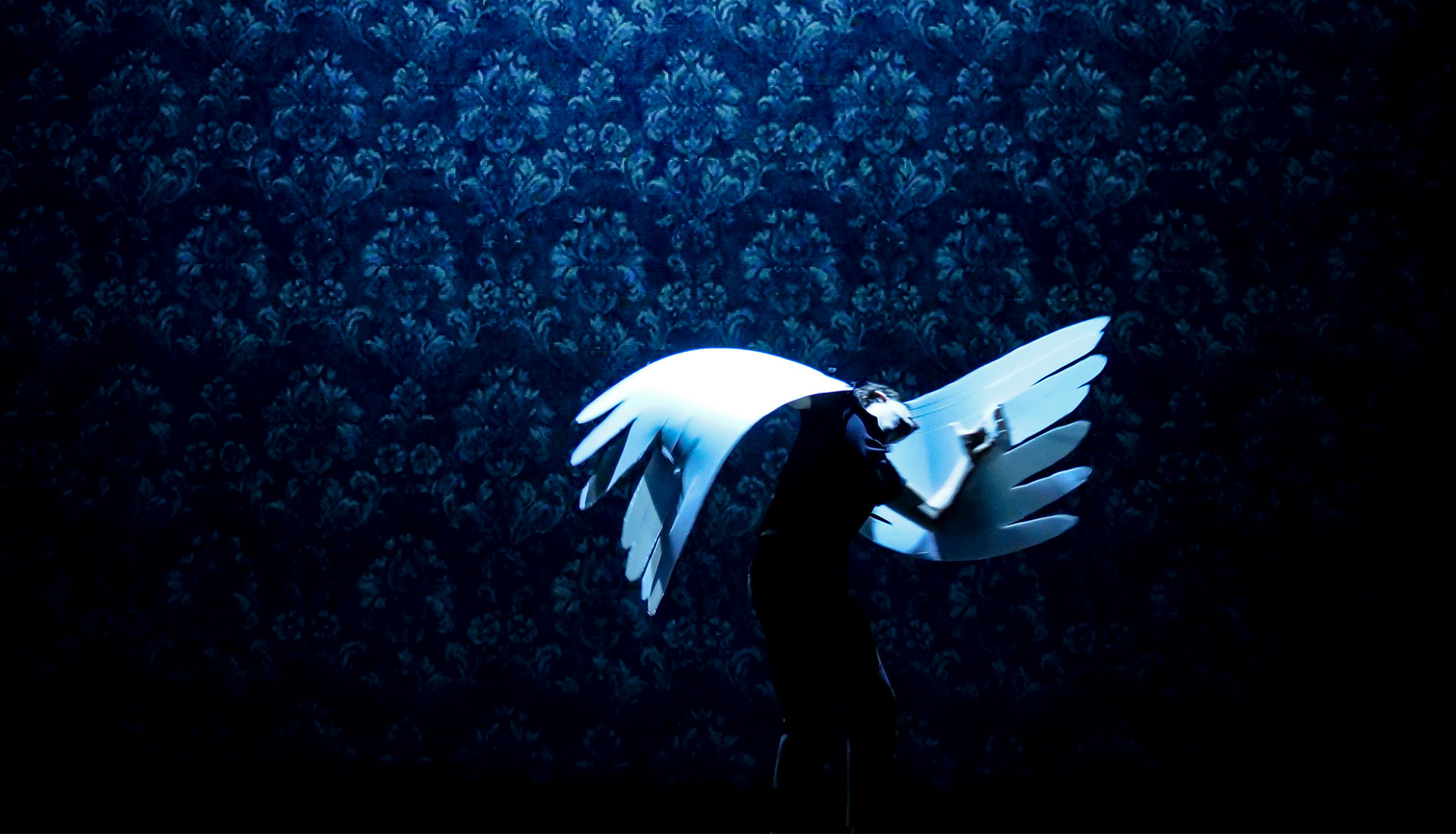 Vers-les-Metamorphose-©-Vasil-Tasevski